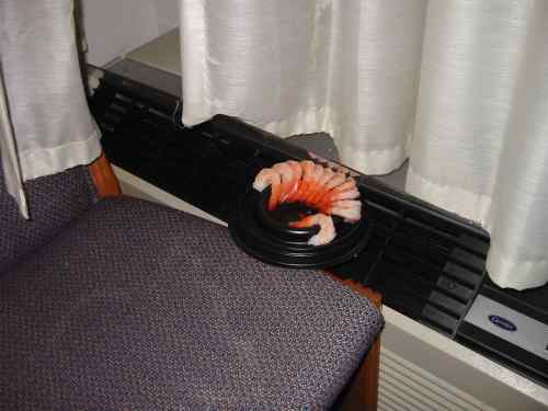 A picture named ShrimpThaw.jpg